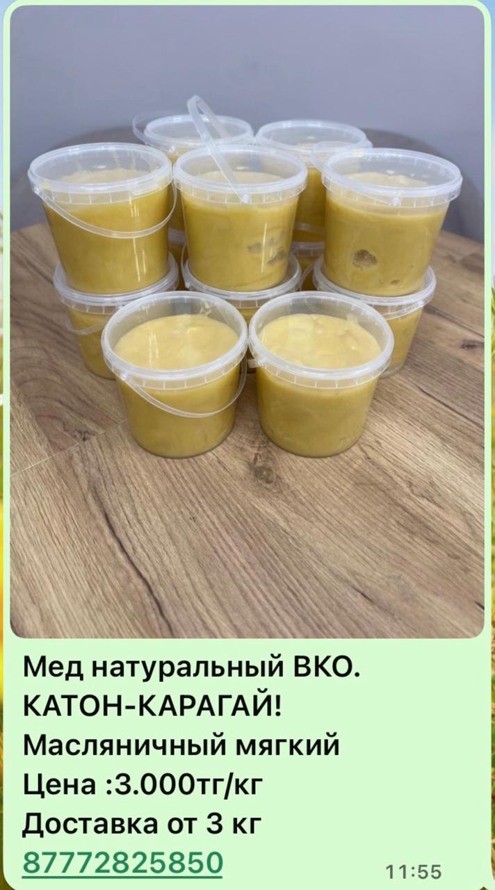 Продукция ВКО